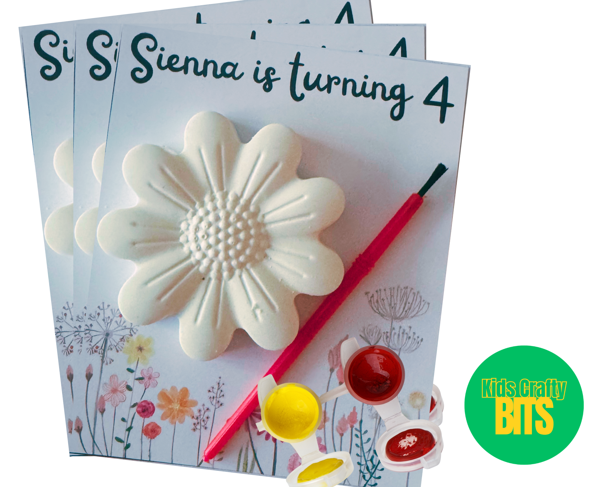 Paint‑Your‑Own Flower Kit