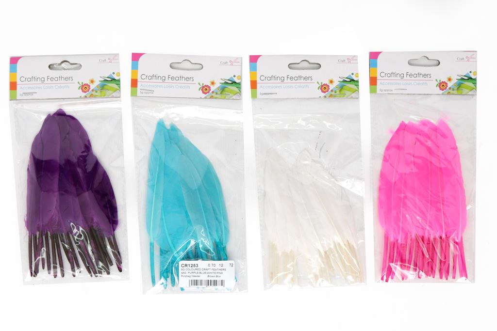 Craft Feather Packs